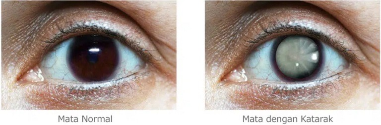 WhatsApp Image 2022 10 03 at 6.29.41 PM1