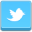 Twitter 32