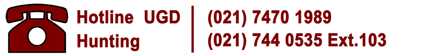 hotline 